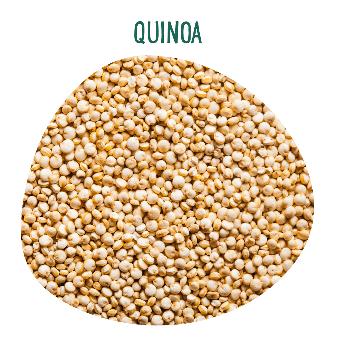 Quinoa