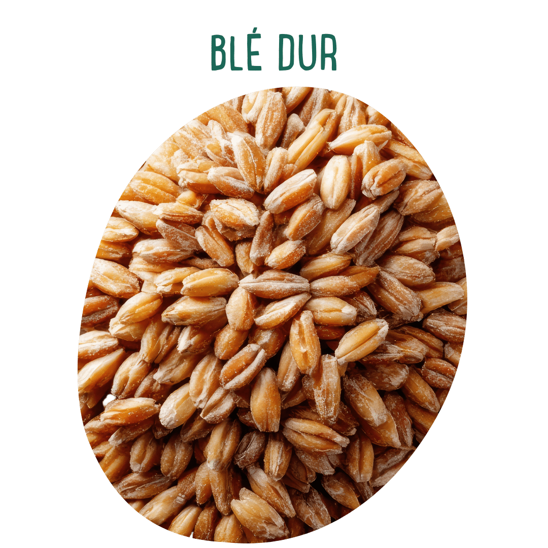 Pâtes et spécialités céréalières